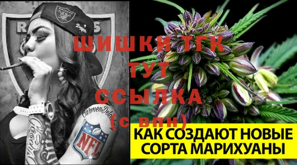 стафф Баксан